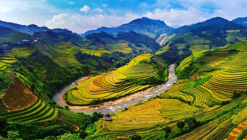 mu-cang-chai-vietnam